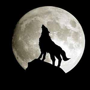 Meet your Posher, Docholiday